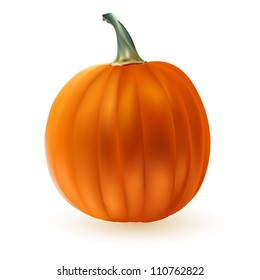 Calabaza madura aislada en blanco. ilustración vectorial