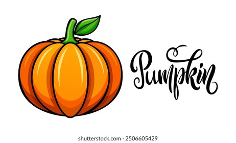 Calabaza madura aislada sobre fondo blanco. Verdura de otoño. Letras de la mano palabra Calabaza. Ilustración vectorial.