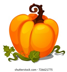 Ripe pumpkin isolated on white background. Sketch for poster or card for holiday of all evil spirits Halloween or thanksgiving day. Vegetarian diet and healthy fitness menu. Vector cartoon close-up.