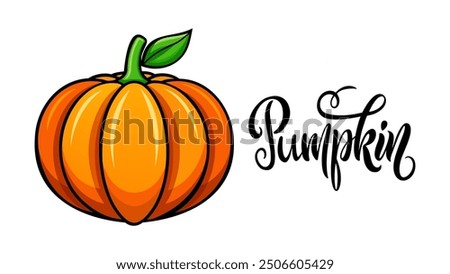 Ripe pumpkin isolated on white background. Autumn vegetable. Hand lettering word Pumpkin. Vector illustration.