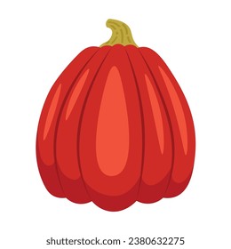 Calabaza limpia sobre fondo blanco