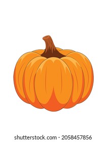 Ripe pumpkin is ready to use