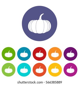Ripe pumpkin set icons in different colors isolated on white background