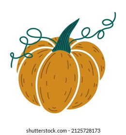 Icono vectorial de calabaza limpia. Ilustración dibujada a mano aislada sobre fondo blanco. Hortalizas de dibujos animados con tallo, hojas. Cosecha otoñal, delicioso producto agrícola. Símbolo de Halloween, concepto plano