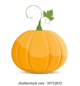 Ripe Pumpkin vegetable fruit isolated on white background. Vector. EPS8