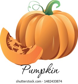 Ripe pumpkin vegetable icon vector illustration. Whole and cut gourd with ribbed hard peel and green stalk for vegetarian food, farm market label design. Isolated on white