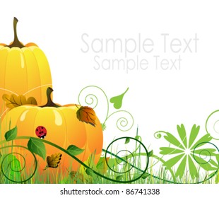 Ripe pumpkins in the garden