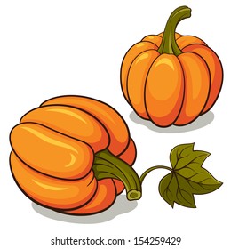 Ripe pumpkins, realistic vector illustration