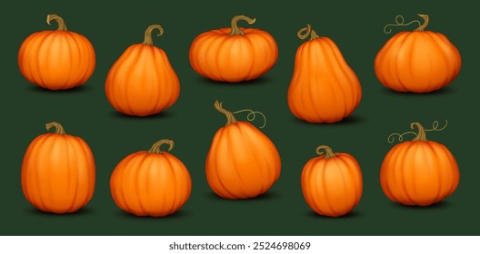 Ripe pumpkins with stems and curly vines realistic color icons set. Autumn farm vegetables harvest 3d objects illustrations collection on black