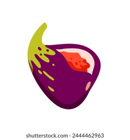 Ripe purple fig fruit. Raw purple fruits, fresh exotic figs cartoon vector illustration