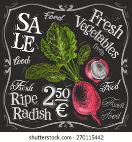 ripe radish vector logo design template. fresh food, vegetables or menu board icon.