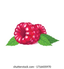 Ripe raspberries, fresh organic dessert realistic vector illustration. Natural food, forest fruit. Delicious summer garden berries with green leaves 3d isolated object on white background