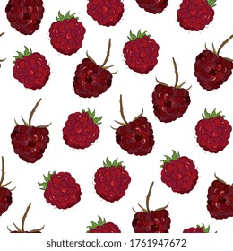 ripe raspberries seamless pattern. Berry, summer background. Red berries. Hand drawing