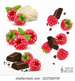 Ripe raspberries set with chocolate chips and vanilla cream. Groups of sweet desserts isolated on white background, packaging design element, 3d realistic vector illustration