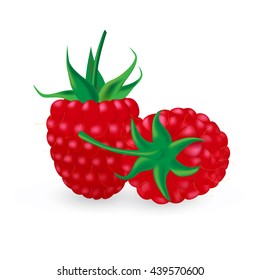 Ripe raspberries. Vector illustration.