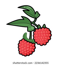 Fresas de frambuesa maduras con hojas