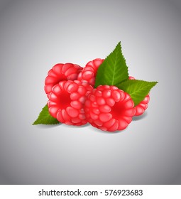 Ripe Raspberry fruits isolated on white background. Vector green leaves and berries.