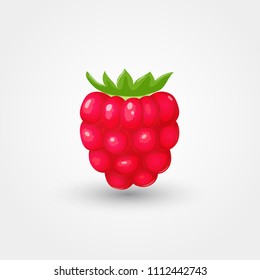 Ripe raspberry with green leaves. Vector illustration