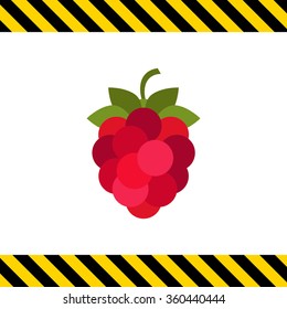 Ripe raspberry icon