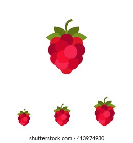 Ripe Raspberry Icon