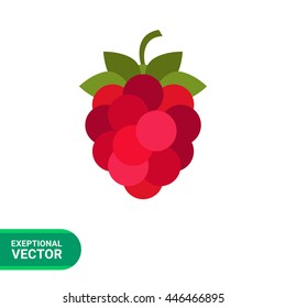 Ripe raspberry icon