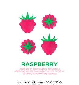 Ripe raspberry icon. Berries on white background. Summer set of raspberry vector illustration. 