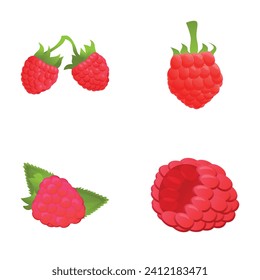 Ripe raspberry icons set cartoon vector. Fresh organic berry. Healthy food