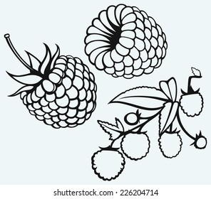 Ripe raspberry with leaf isolated on blue background