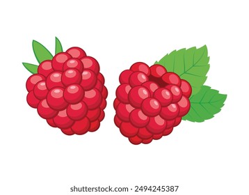 Reife Himbeere mit Blättern Icon Set Vektorgrafik isoliert auf weißem Hintergrund. Reife Himbeeren mit Blättern Vektorillustration. Vorlage für Hintergrund, Banner, Karte. Zeichnung von Himbeerfrüchten