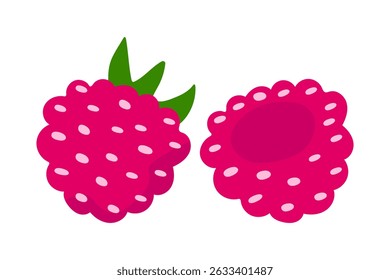 Ripe raspberry with leaves isolated on white background. Vector.