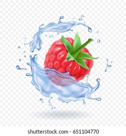 Ripe raspberry. Sweet berry and water splash. Vector illustration