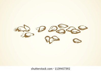 Ripe raw dry tasty salted fat nutty pod product isolated on white backdrop. Freehand line black ink hand drawn picture sign sketchy in art retro doodle contour graphic style pen on paper. Closeup view