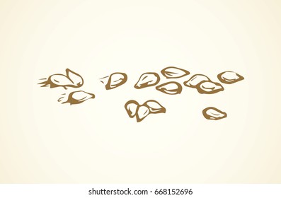 Ripe raw dry tasty salted fat nutty pod product isolated on white backdrop. Freehand line black ink hand drawn picture sign sketchy in art retro doodle contour graphic style pen on paper. Closeup view