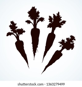 Ripe raw fresh haulm taproot logotype on white backdrop. Dark black ink hand drawn vitamin logo pictogram emblem in retro art etched contour print style on paper space for text. Closeup view