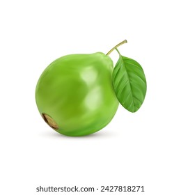 Ripe raw realistic guava fruit. Whole isolated tropical guava. 3d vector pear-shaped vibrant fruit with a glossy leaf. Its enticing aroma and sweet taste encapsulate the essence of tropical indulgence