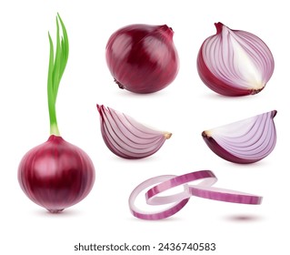 Ripe raw realistic red onion vegetable. Whole and half, ring and slice isolated veggie food with shadows. Vector 3d bulbs, rings and wedges of red onion with sprouted green leaves, veggie condiment