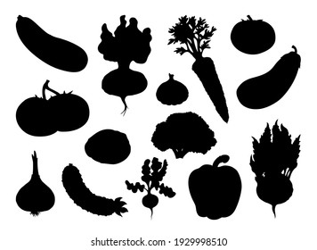 Ripe raw tasty bio eco summer diet health vegan brocoli gourd product kitchen cuisine cook. Black botany farm veggie tuber head plant leaf crop produce logo sign icon vintage white cartoon draw style