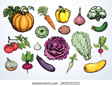 Ripe raw tasty juicy bio eco summer vitamin diet health vegan kitchen culinary cuisine cook. Hand drawn botany farm veggie tuber head plant leaf crop logo sign icon vintage white art cartoon style