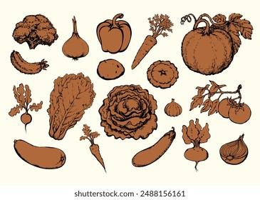 Ripe raw tasty juicy bio eco summer vitamin diet health vegan kitchen culinary cuisine cook. Hand drawn botany farm veggie tuber head plant leaf crop logo sign icon vintage white art cartoon style