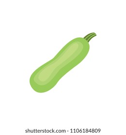 Ripe raw zucchini, marrow squash icon. Green healthy food, vegetable full of vitamins. Fresh nutritions source, dieting and healthy life style symbol. Vector flat illustration isolated