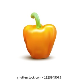 Ripe realistic pepper vector. Vegetable garden on white background