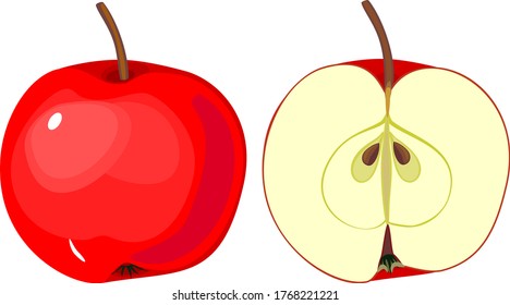 Ripe red apple, whole and in longitudinal section isolated on white background