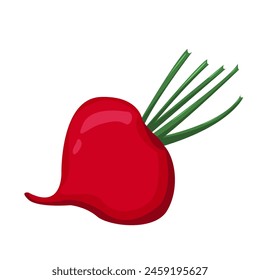 Ripe red beet. Cartoon fresh beetroot vegetable.For sticker and t shirt design, posters, logos, labels, banners, manu, product packaging design, etc. Vector illustration.