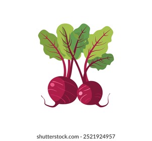 Reife rote Rüben mit grünen Blättern. Karte, Banner, Aufkleber, Poster, Druck. Vektorgrafik