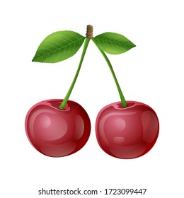 ripe red berries, Vector illustration Cherry realistic icon isolated on a white background.