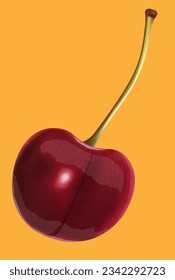 ripe red bright cherry on an orange background