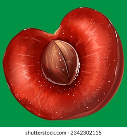 ripe red bright cherry with a stone in a section