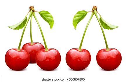 Ripe red cherries with leaves. Vector illustration.