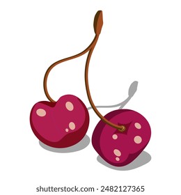 Ripe red cherries with shadow on white background. Summer fruits. Food vector illustration.