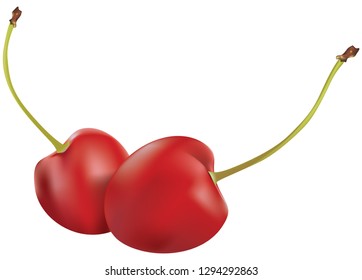 Ripe red cherries, two berries not connected by the stem